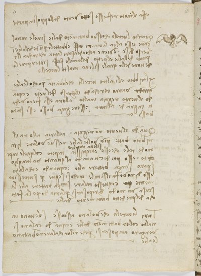 Código sobre el vuelo de los pájaros, c. 1505-06, manuscrito en papel, cc. 18, hoja 5 verso de Leonardo da Vinci